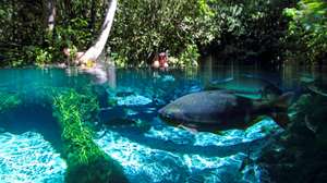 Chapada dos Guimarães / Nobres